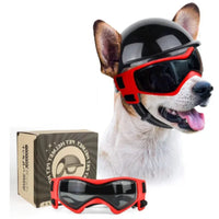 Dog Aid and Glasses - RiderPaw