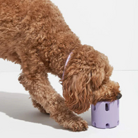 Tandplejelegetøj til hunde - BounceChew