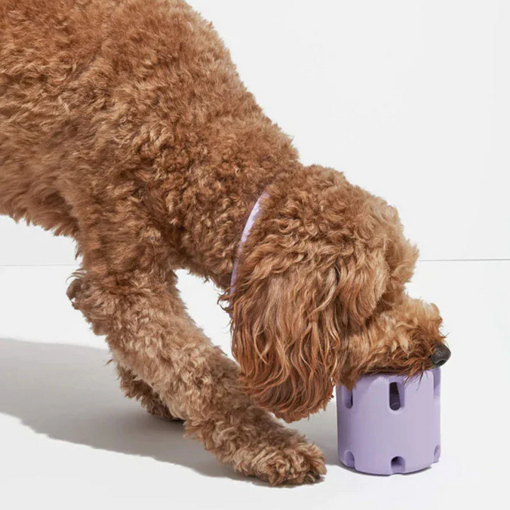 Tandplejelegetøj til hunde - BounceChew