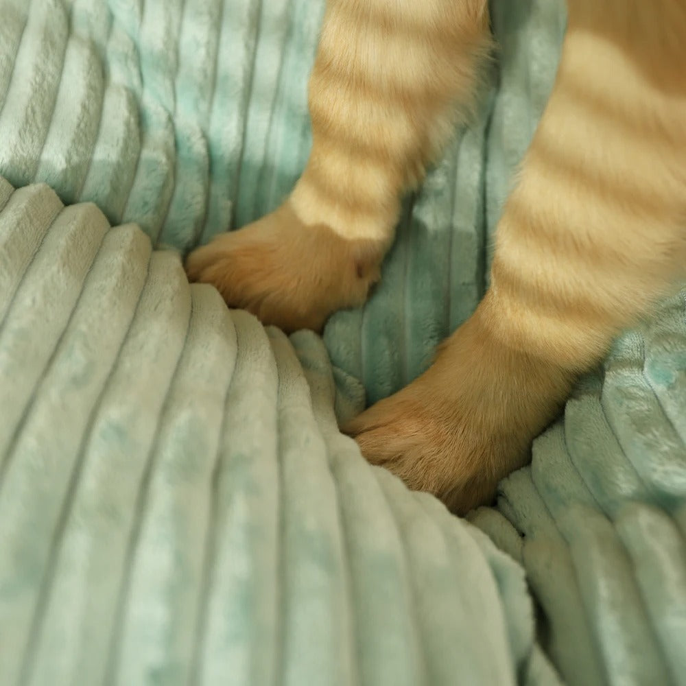 Orthopedic Dog Pillow with Removable Cover - SnuggleRest