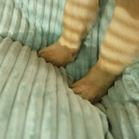 Orthopedic Dog Pillow with Removable Cover - SnuggleRest