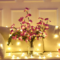 Illuminated Decorative Branches - LumaBranches