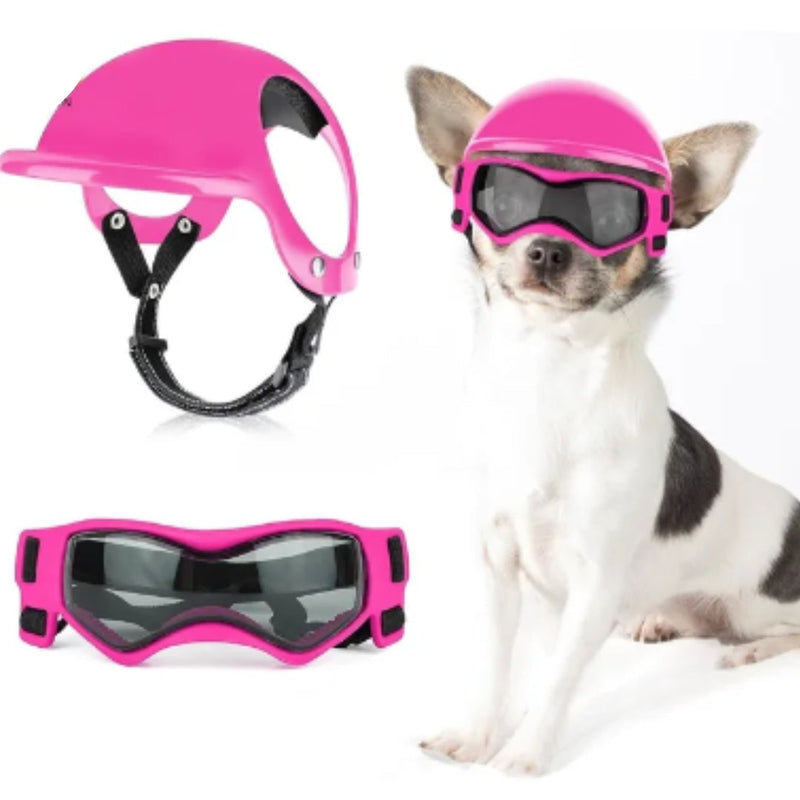 Dog Aid and Glasses - RiderPaw