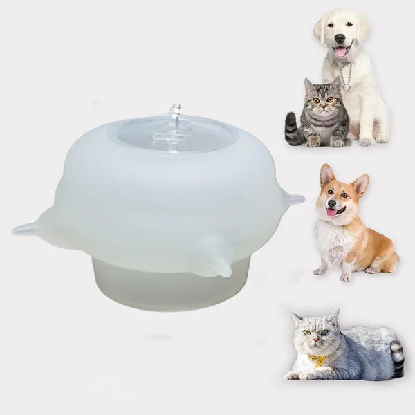 Compact Milk Bowl for Kittens - KittySip