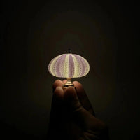 DIY Sea Urchin Night Light - LumiUrchin