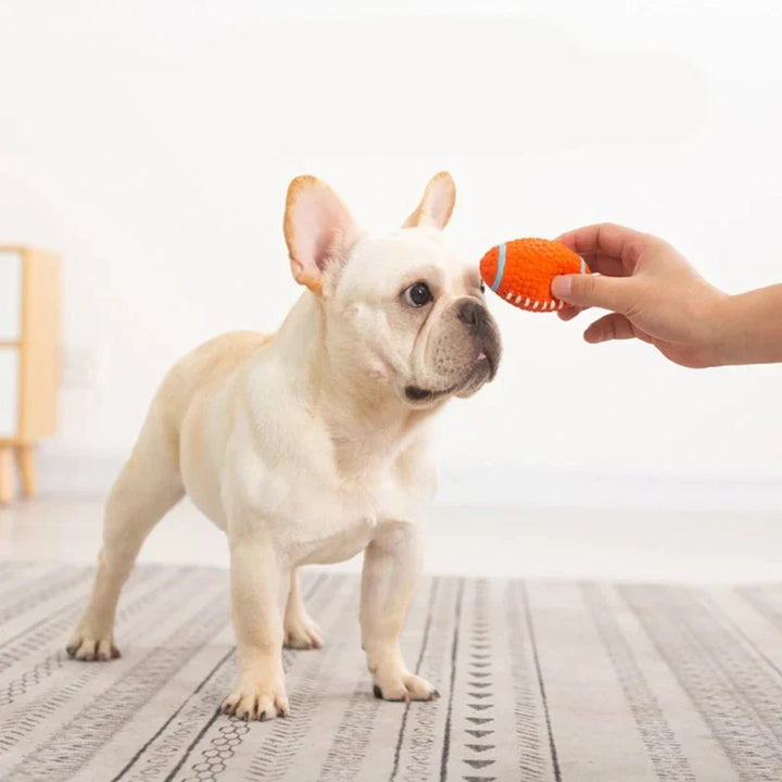 Der Unzerstörbare Spielkamerad für Hunde – KryptoChew