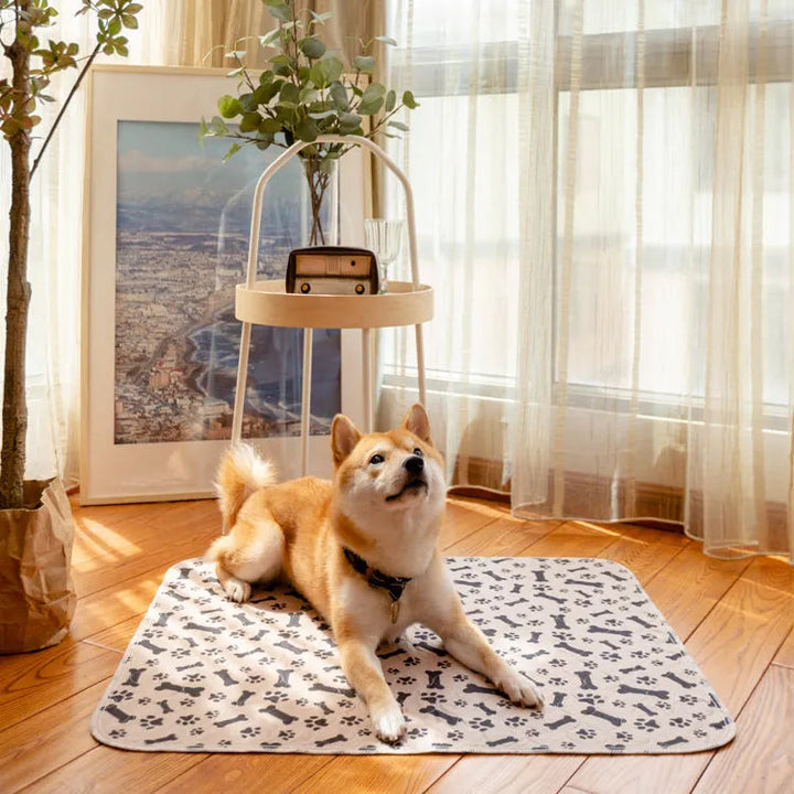 Leak-proof Pet Mat – PetPaws Comfort Mat