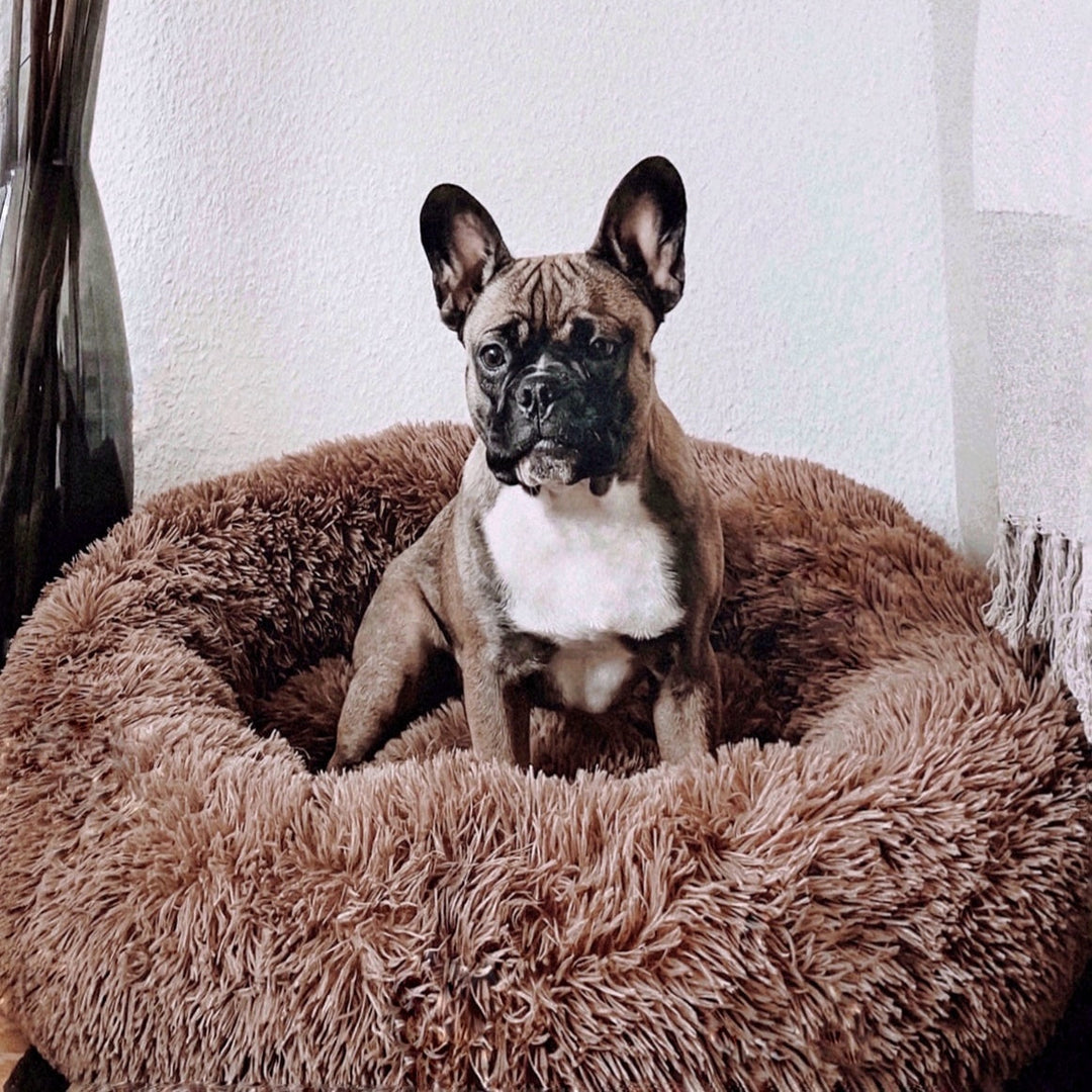 Hundeseng Fluffy Plus - Den originale