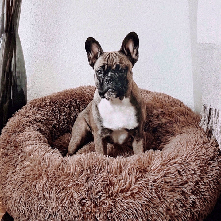 Hundeseng Fluffy Plus - Den originale