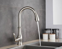 Pull-out kitchen faucet - FlexFlow