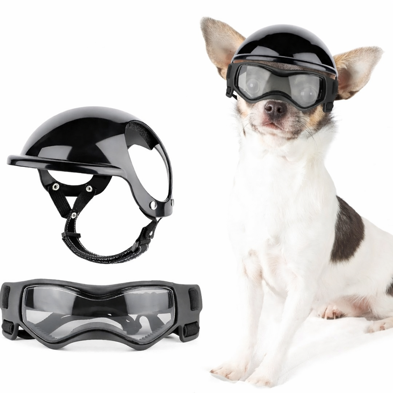 Dog Aid and Glasses - RiderPaw