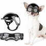 Hundehilfe und Brille - RiderPaw