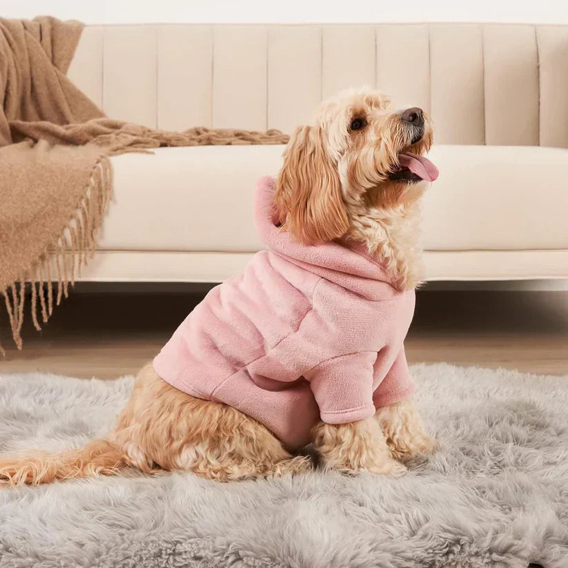 Hoodie set for owners and their dog – PawMatch