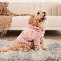 Hoodie set for owners and their dog – PawMatch