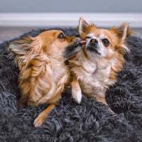 Hundeseng Fluffy Plus - Den originale