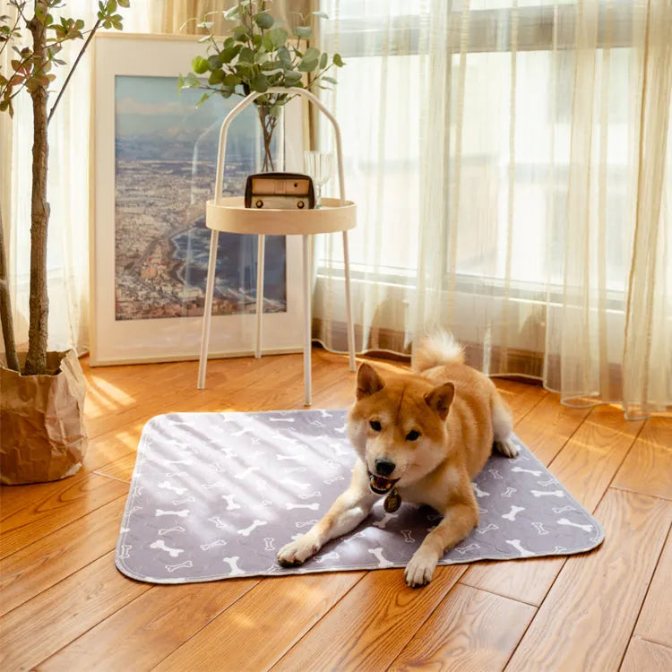 Leak-proof Pet Mat – PetPaws Comfort Mat