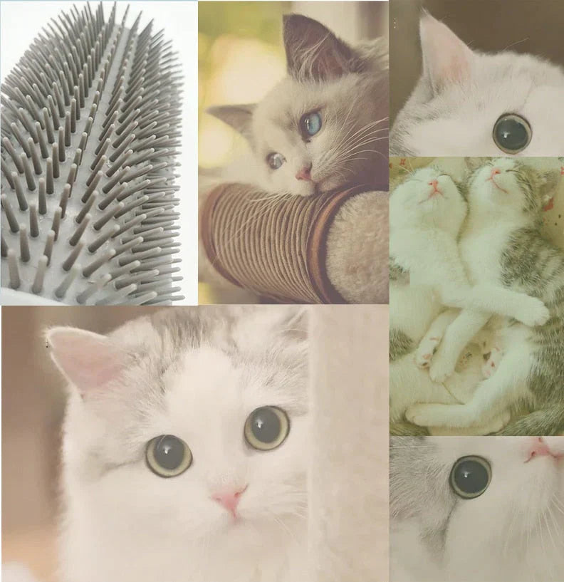 Kattehjørnebørste til selvpleje - PurrGroom