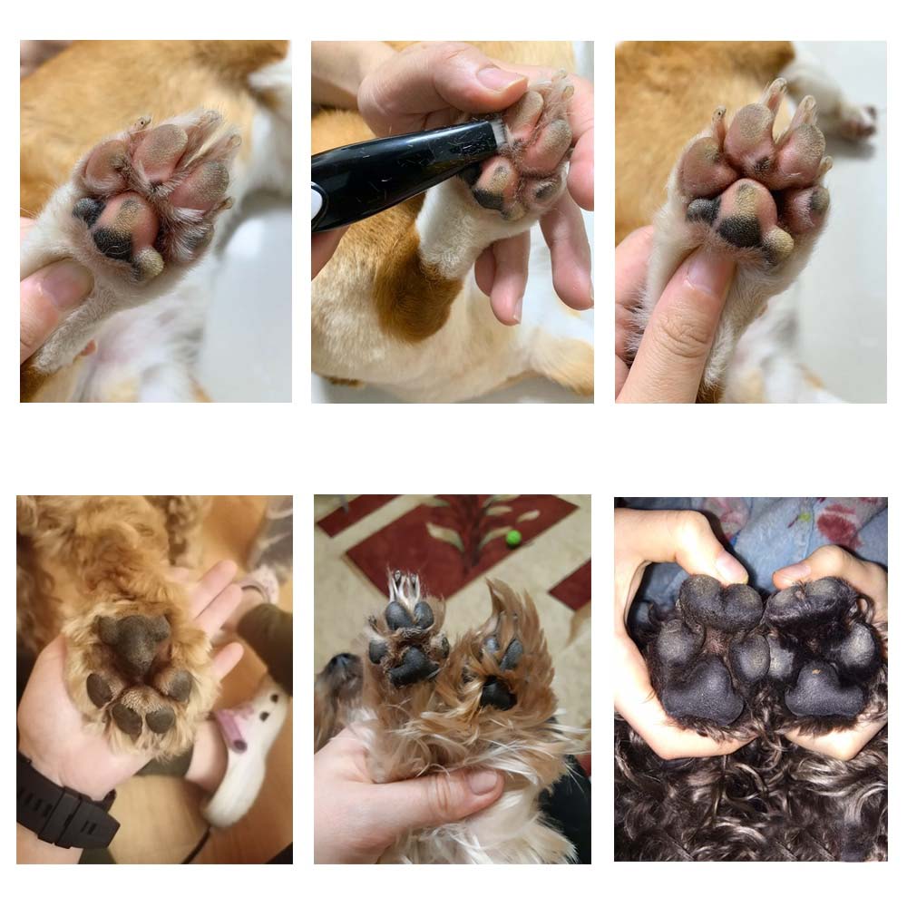 Cortapelos para mascotas - PawPerfect