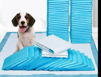 Housebreaking Training Mats - PeeMaster Pads