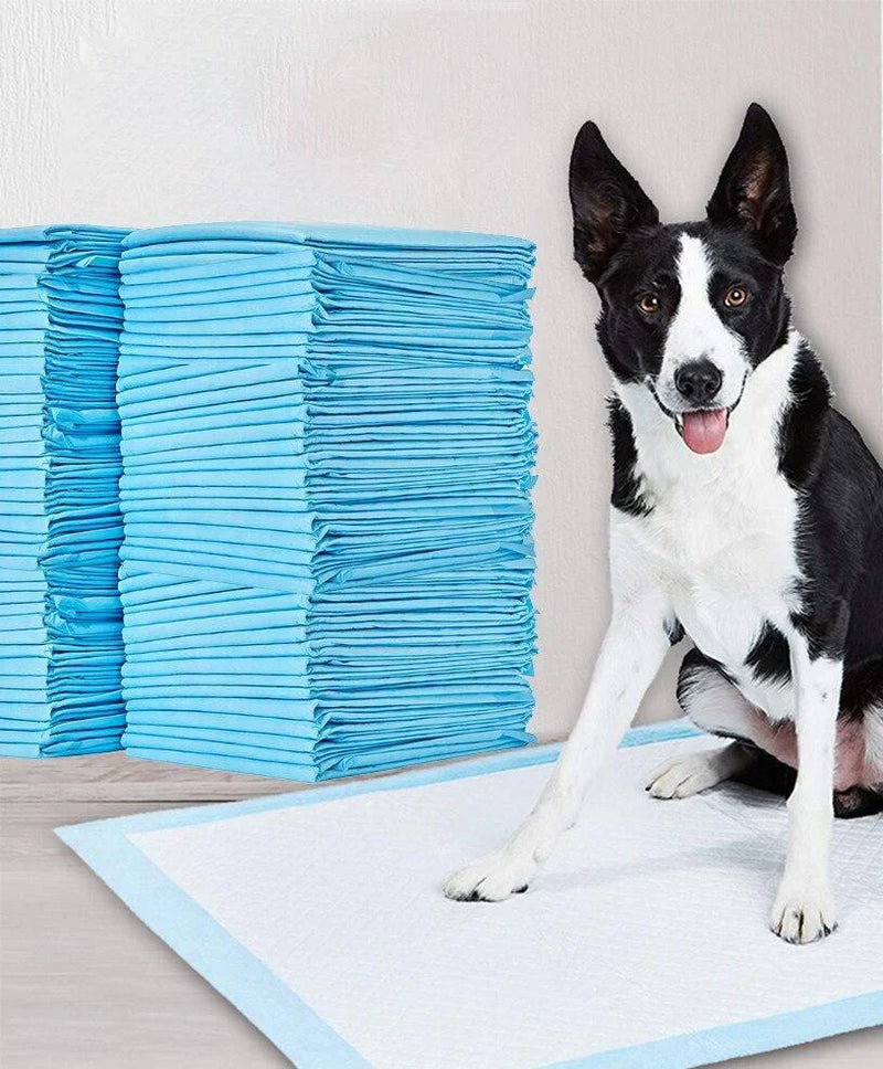 Housebreaking Training Mats - PeeMaster Pads