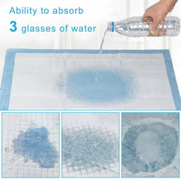 Housebreaking Training Mats - PeeMaster Pads