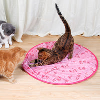 Interaktives Bewegliches Spielzeug für Katzen – WhiskRoll