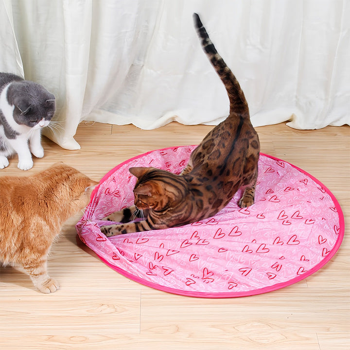 Interaktives Bewegliches Spielzeug für Katzen – WhiskRoll