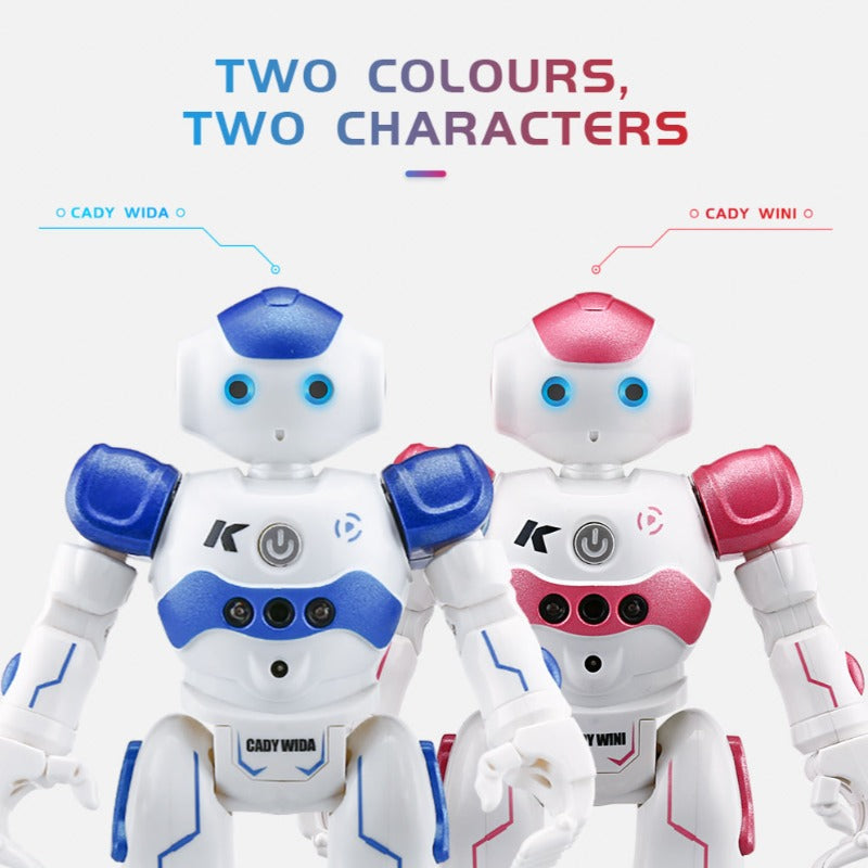 Interactive Educational Robots - NovaBot