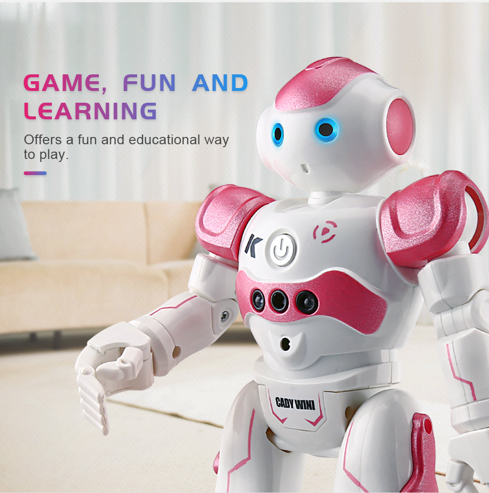Interactive Educational Robots - NovaBot