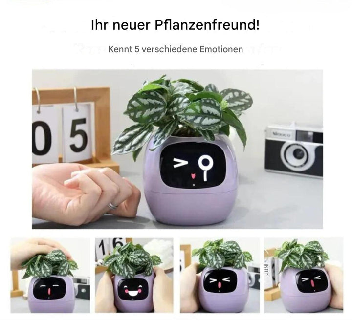 Automatic Smart Flower Pot – GreenBuddy SmartPot