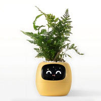 Automatic Smart Flower Pot – GreenBuddy SmartPot