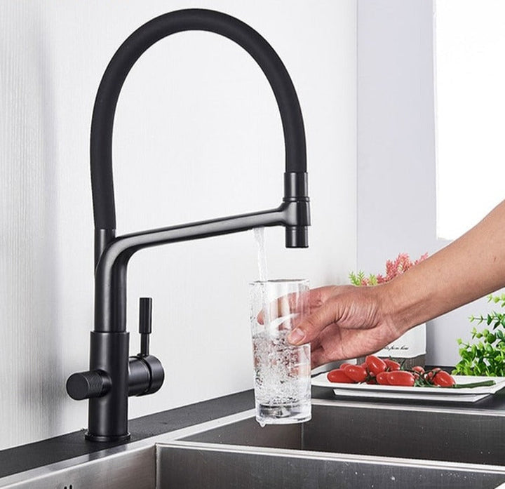 Grifo de cocina con doble salida y filtración de agua – PureFlow Duo