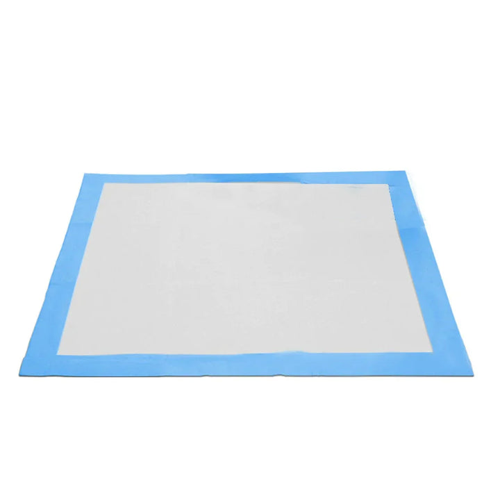 Housebreaking Training Mats - PeeMaster Pads