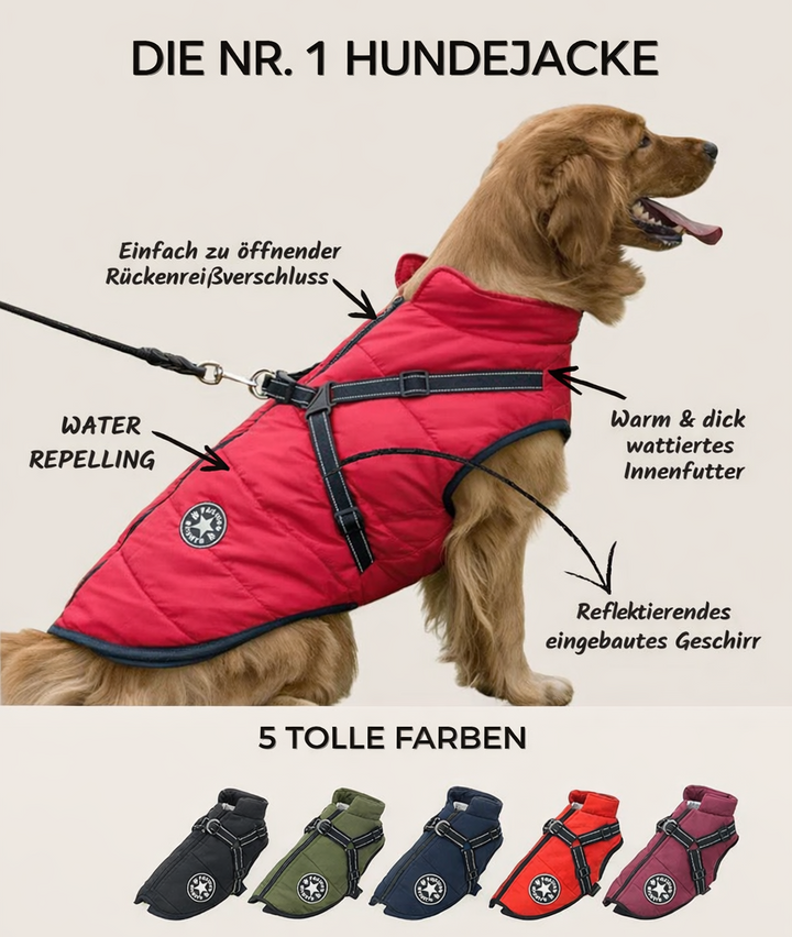 Golden Retriever sitzt in der roten Jacke, Beschriftungen erklären Rückenreißverschluss, Wattierung, wasserabweisenden Stoff und Geschirr; unten fünf Farbvarian 2