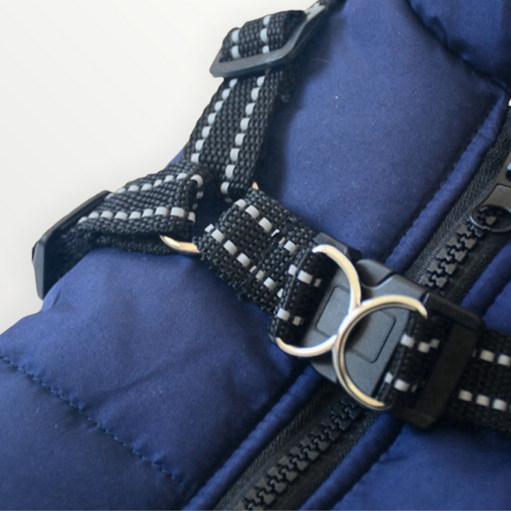Nahaufnahme des reflektierenden schwarzen Geschirrs mit Steckschnalle, Metallringen und Reißverschluss auf blauem Steppstoff. 6