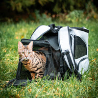 Katzenrucksack – PurrPack