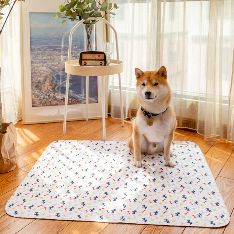 Leak-proof Pet Mat – PetPaws Comfort Mat