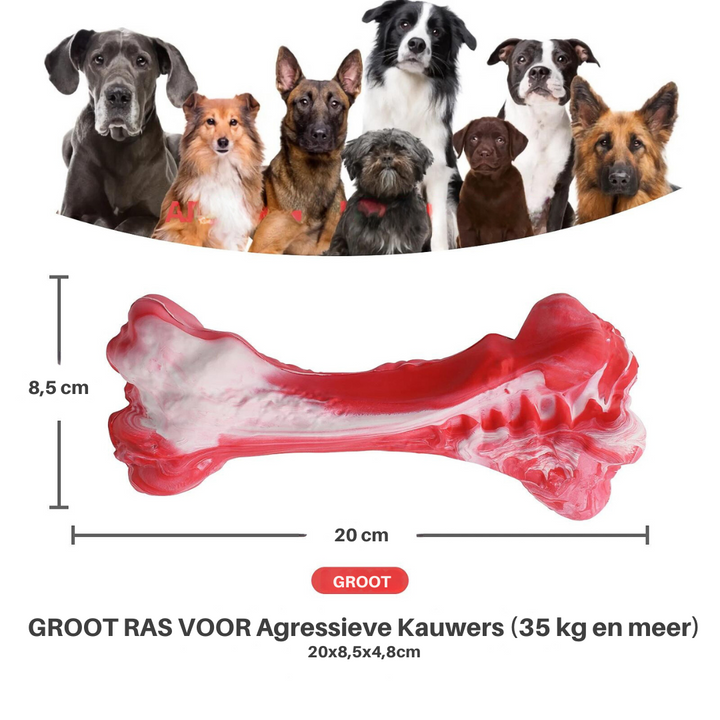 Der Verspielte Zahnpfleger für Hunde – BuddyChew