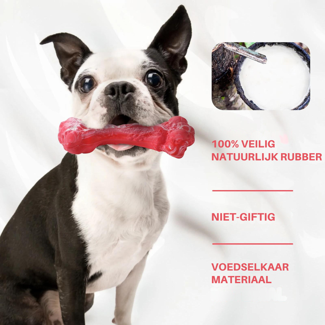 Der Verspielte Zahnpfleger für Hunde – BuddyChew