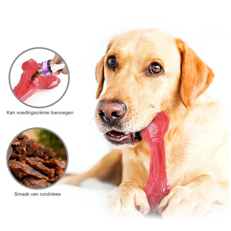 Der Verspielte Zahnpfleger für Hunde – BuddyChew