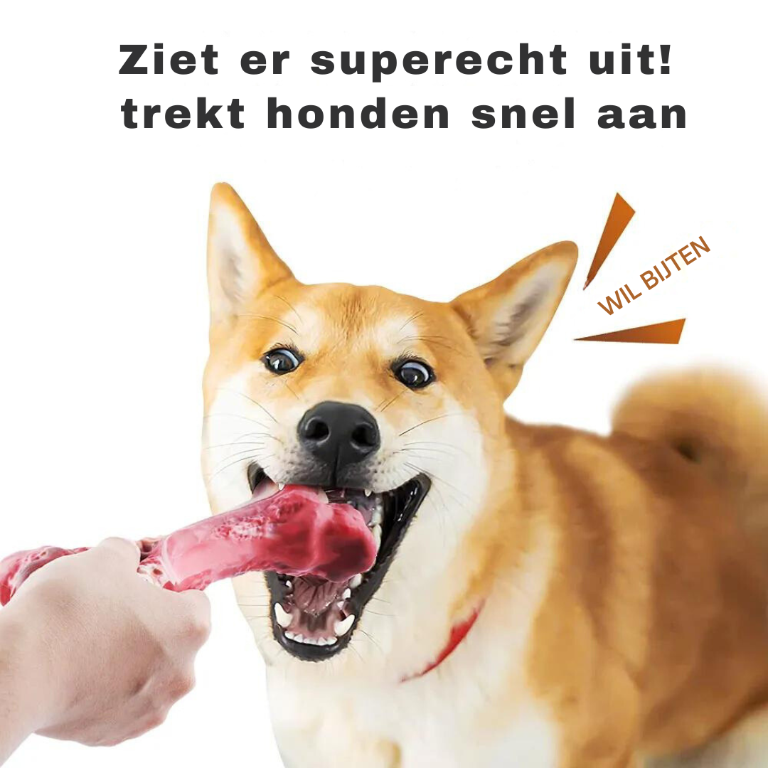 Der Verspielte Zahnpfleger für Hunde – BuddyChew
