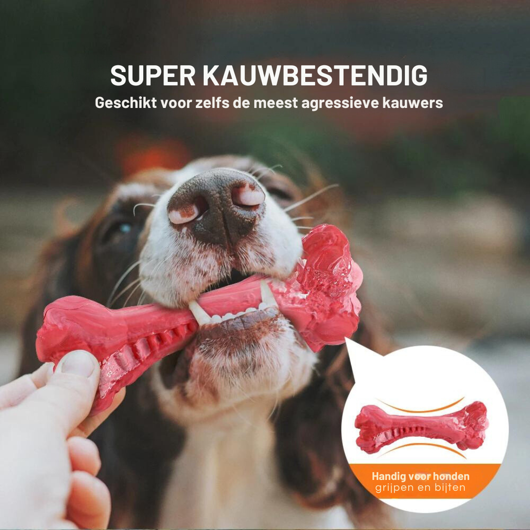 Der Verspielte Zahnpfleger für Hunde – BuddyChew