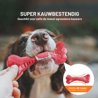 Der Verspielte Zahnpfleger für Hunde – BuddyChew