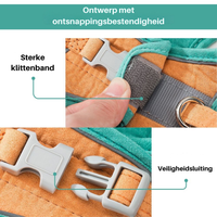 Kattesele – Oscar