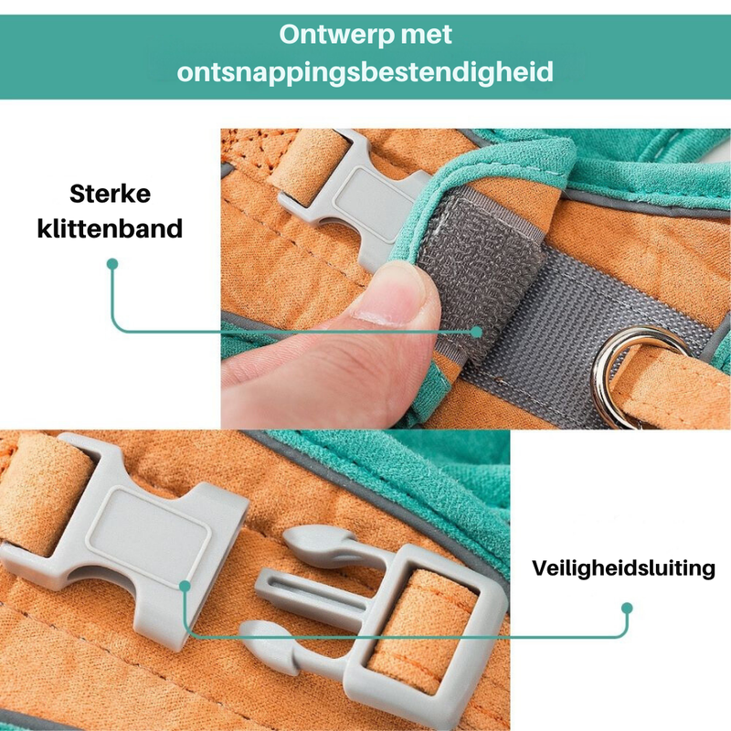 Kattesele – Oscar
