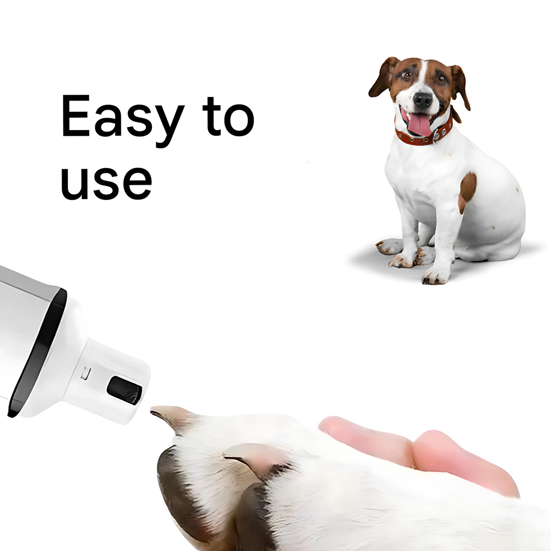 Electric Nail Helper for Dogs – PawTrim