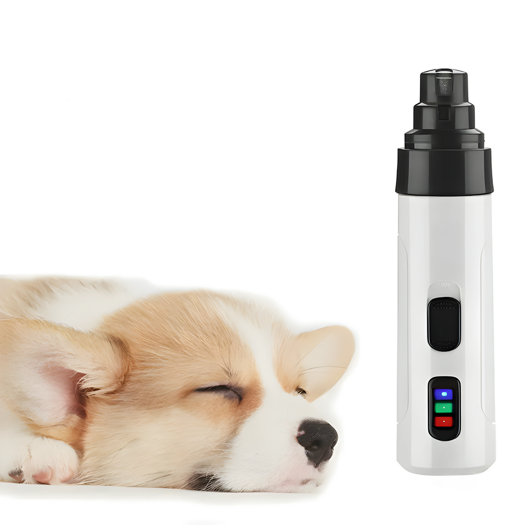 Electric Nail Helper for Dogs – PawTrim