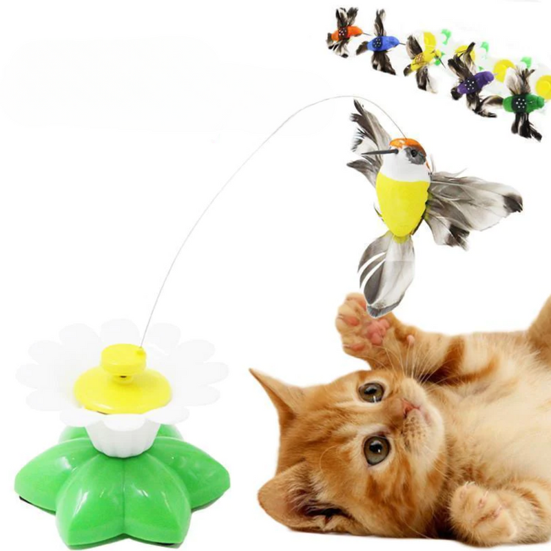 Größen Interaktives Katzenspielzeug – Purrfect Play