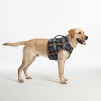 Orthopäisches Hinterbeingeschirr - PawRelief