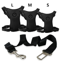 Car seatbelt with comfortable chest harness for dogs - PawSafe